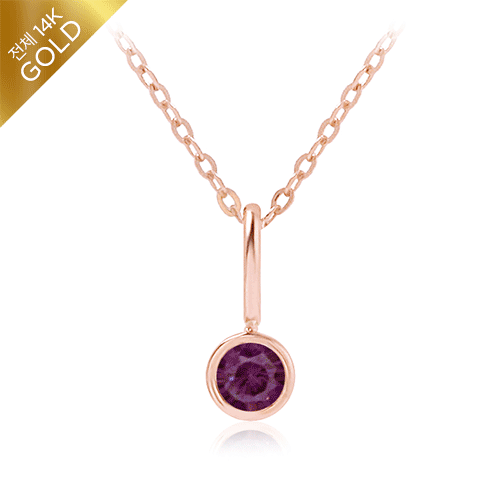 # 150,000 won discount+<br><font color="red"><br></font> February Amethyst Birthstone Necklace<br> NA0170